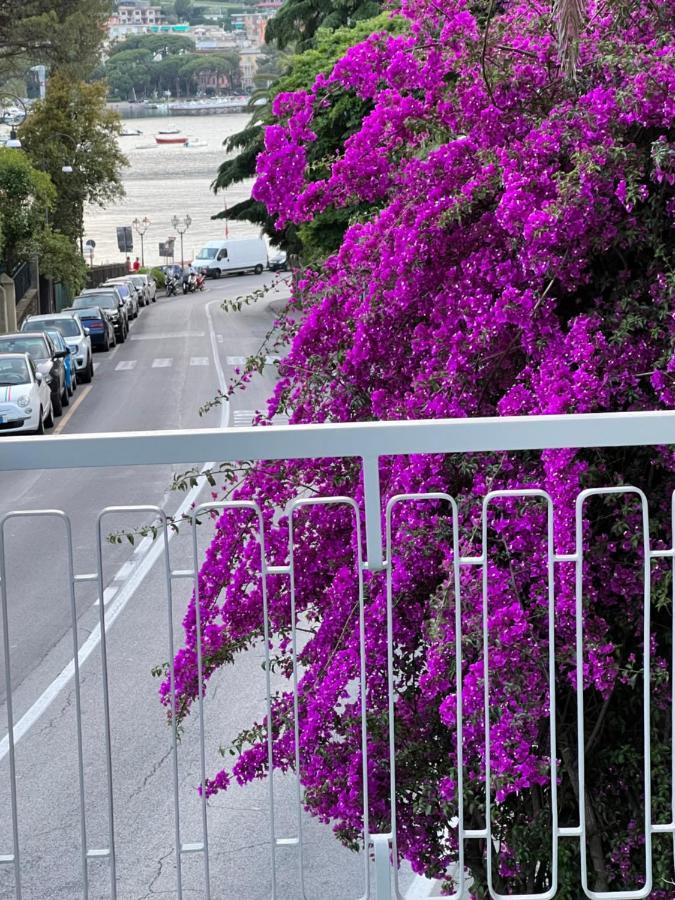 Welcome Riviera -Torre D'Avorio Appartamento 126 Mq Piu'Terrazzo25 Mq - Totalmente Rinnovato- 250 M Dal Centro - Parcheggio A Pagamento 15 Euro Al Giorno Da Prenotare In Anticipo Salvo Dispo -Parking At 15 Euro Per Day To Be Booked In Advance If Avai Rapallo Exterior foto